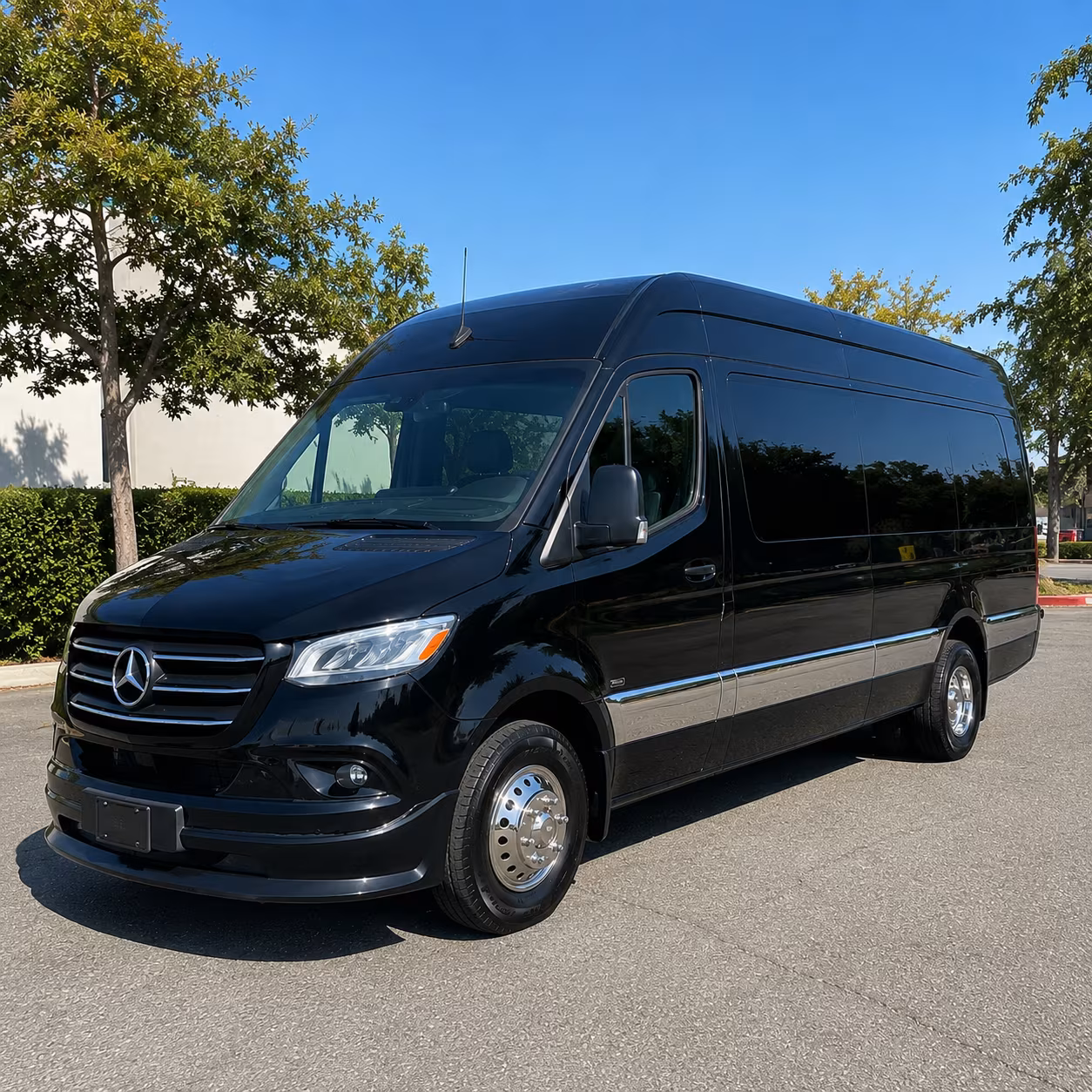 find the perfect transportation for your next birthday 4