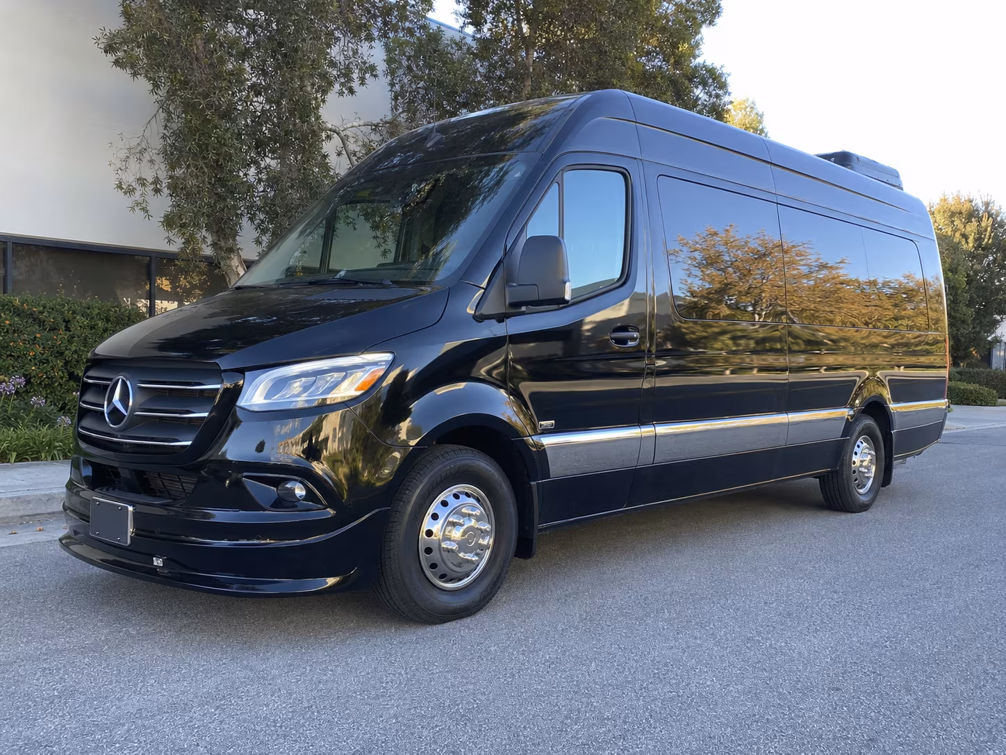 mesa 10 passenger sprinter van